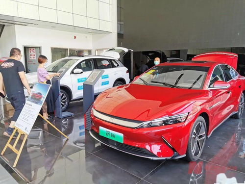 新能源車補貼退坡調查 市場終端火爆，車企策略分化，今年銷量劍指600萬輛
